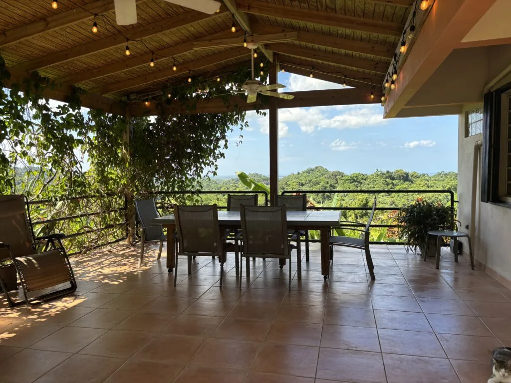 an outdoor dining table